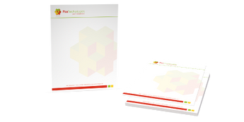 Full-Color Letterhead (8.5